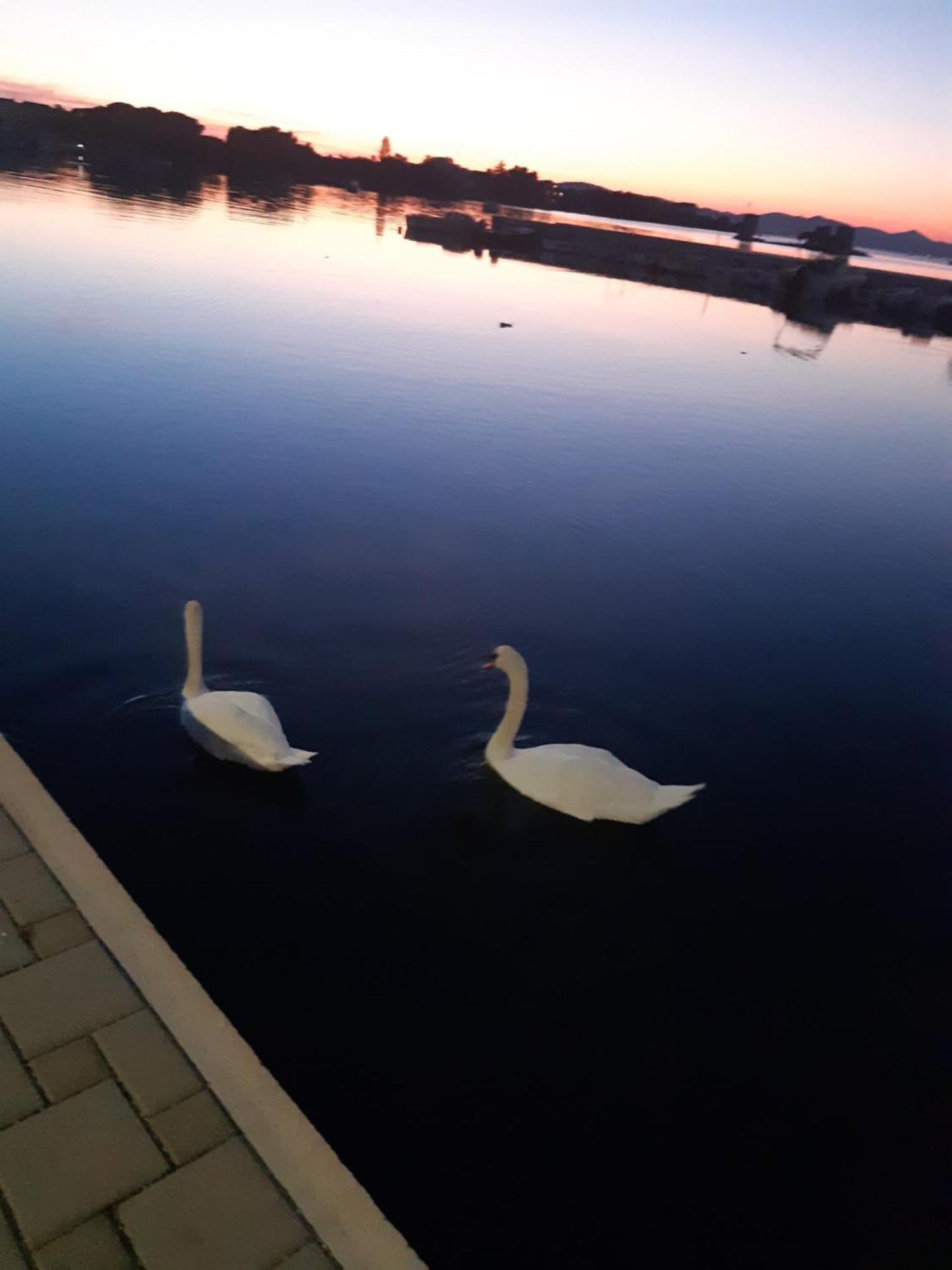 Apartman Barbir Sukošan Zewnętrze zdjęcie